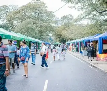 kalapolalastvenue